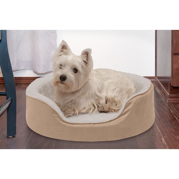 Harmony cuddler orthopedic dog hot sale bed